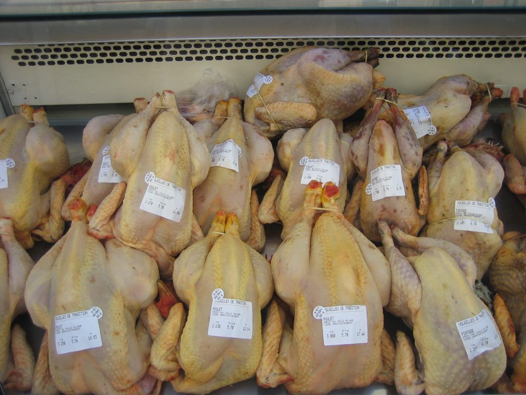 Poultry